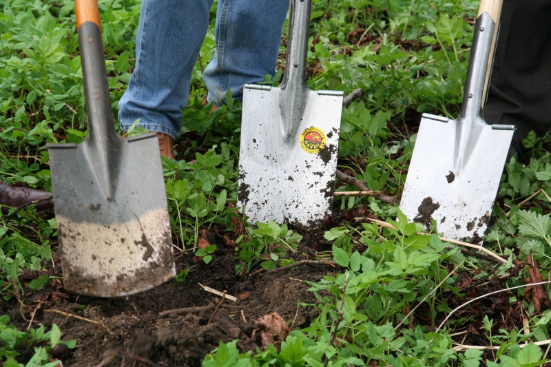 pepiniere-ST JEANNET-min_work-lawn-flower-tool-green-backyard-1103633-pxhere.com